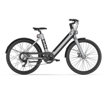 BirdBike | E-BIKE V-Frame
